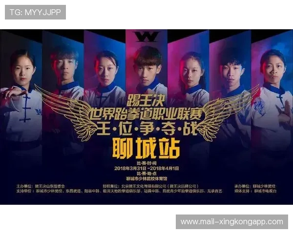 职业联赛的公平竞技原则